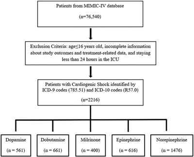 Vasopressors and inotropes in cardiogenic shock patients: an analysis of the MIMIC-IV database